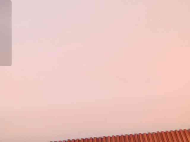 IrissBloom IrissBloom