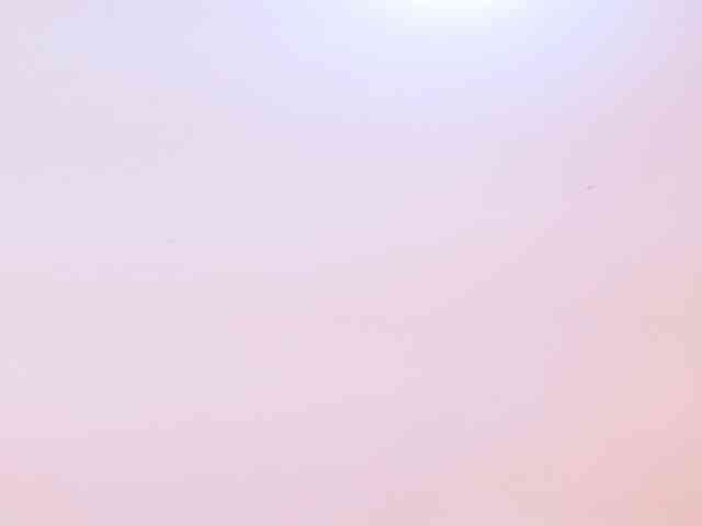 IrissBloom IrissBloom