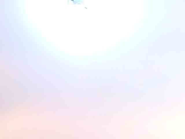 IrissBloom IrissBloom