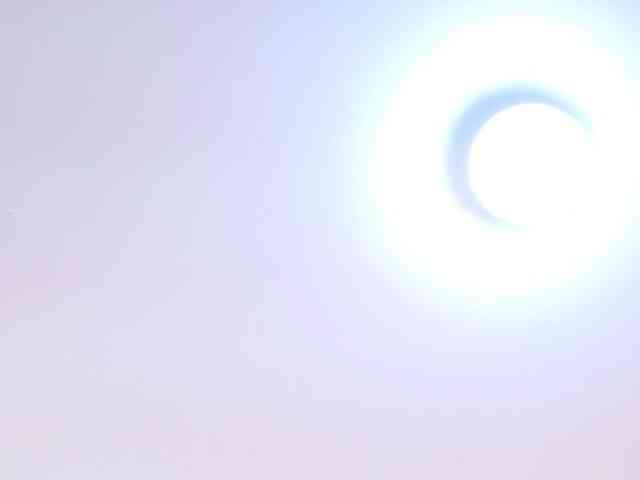 IrissBloom IrissBloom