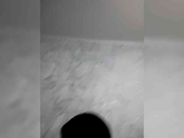 Mangopol webcam