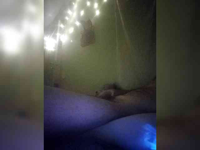 Mangopols webcam