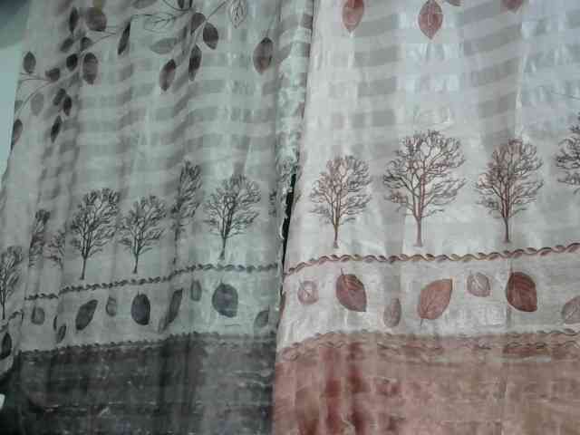 Africanqueen20 webcam