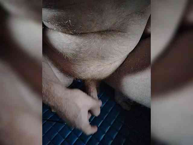 ZloberDOG