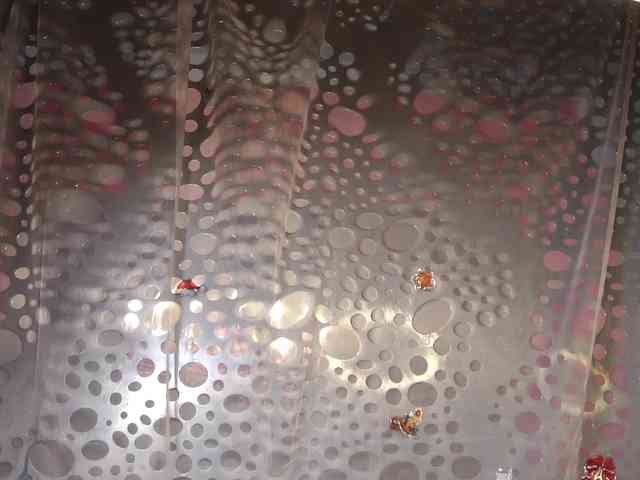 AnnaCandies AnnaCandies