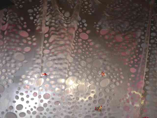 AnnaCandies AnnaCandies