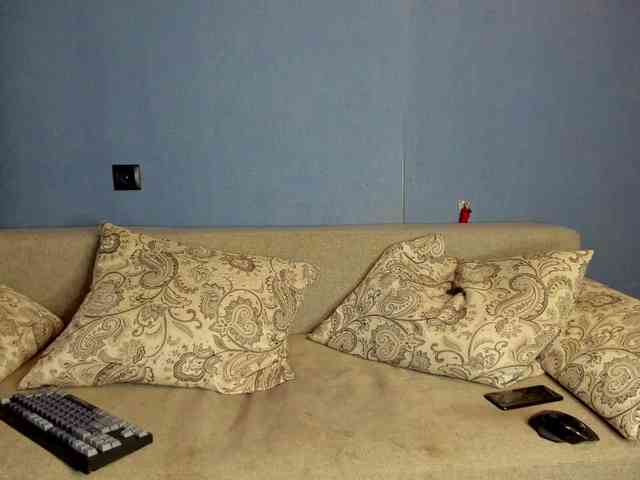 StefanParks StefanParks