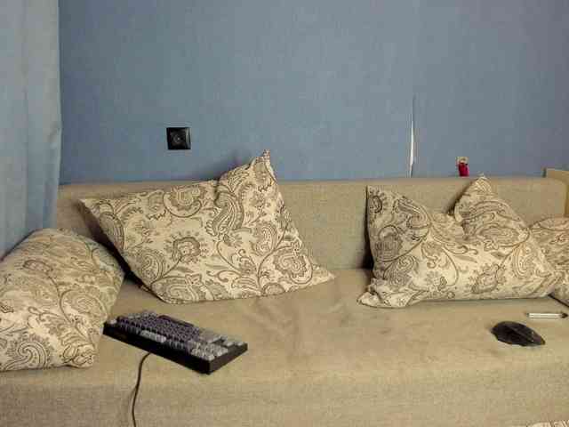 StefanParks StefanParks