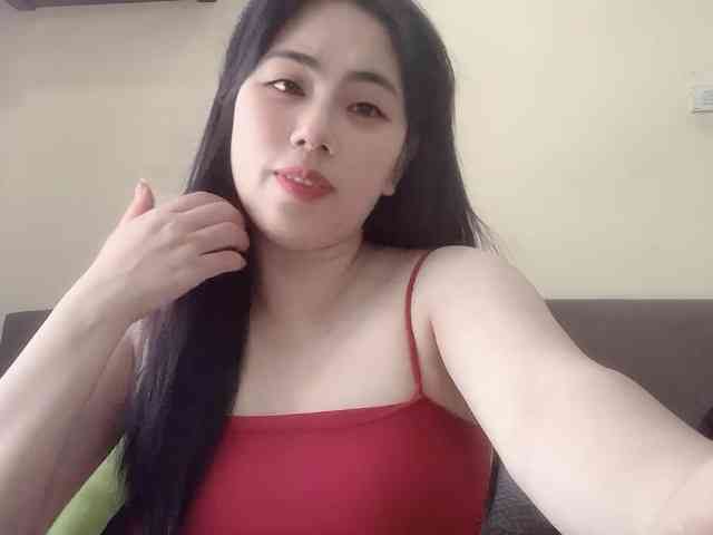 Vysa webcam