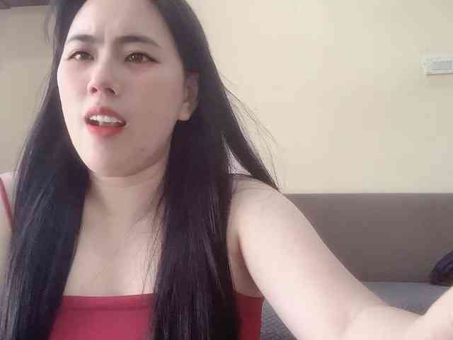 Vysa webcam