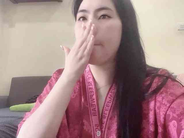 Vysa webcam