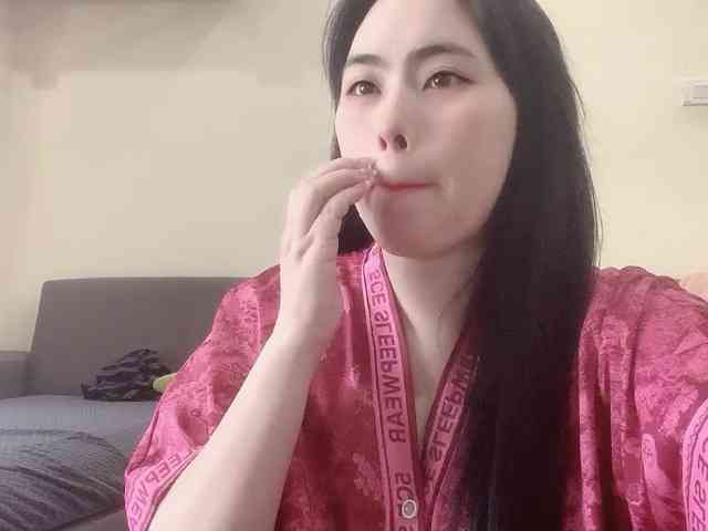 Vysa webcam