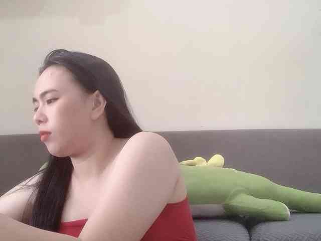Vysa webcam