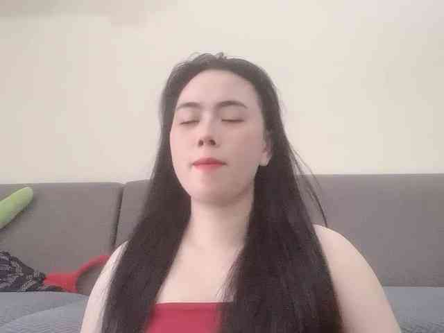 Vysa webcam