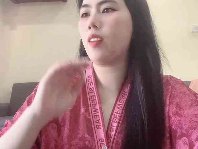 Vysa webcam
