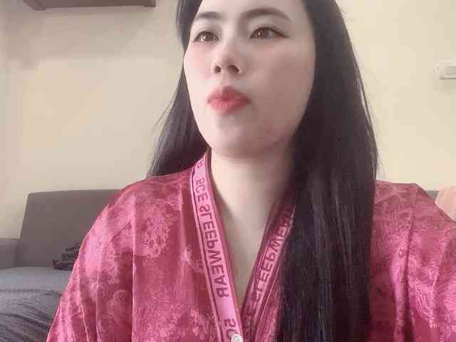 Vysa webcam