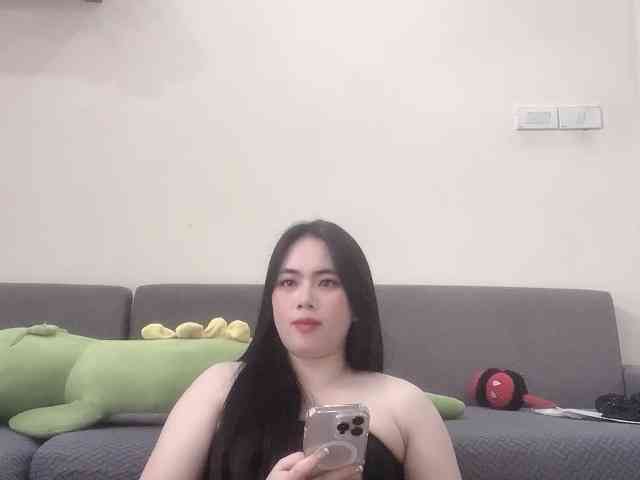 Vysa webcam