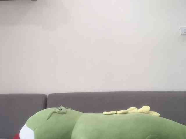 Vysa webcam