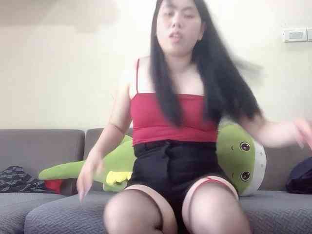 Vysa webcam