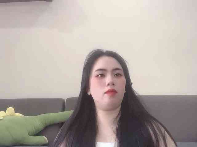 Vysa webcam