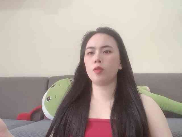 Vysa webcam