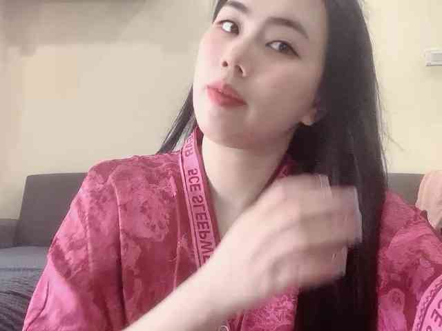 Vysa webcam