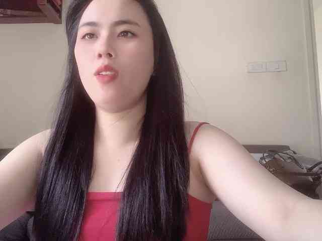 Vysa webcam