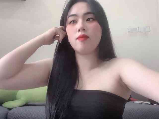 Vysa webcam