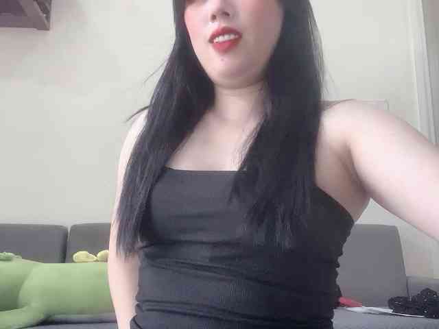 Vysa webcam