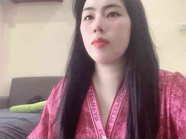Vysa webcam