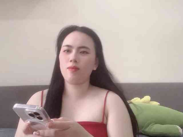 Vysa webcam