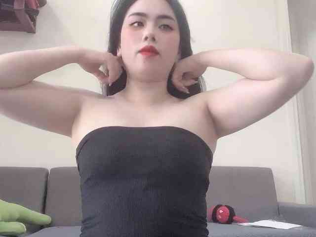 Vysa webcam