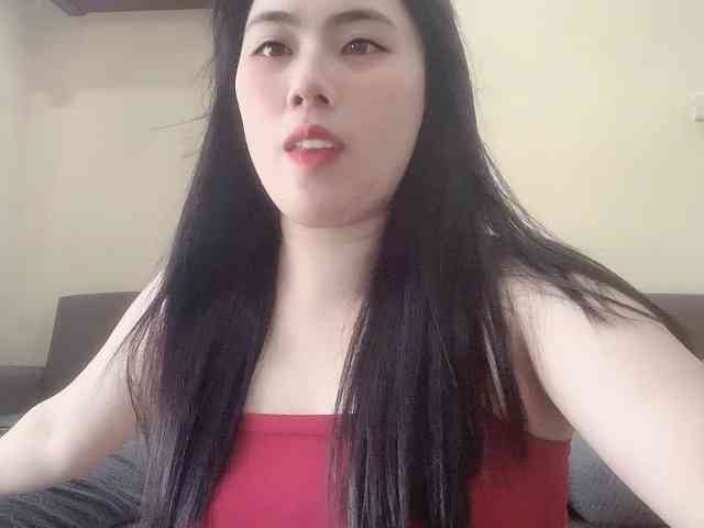 Vysa webcam