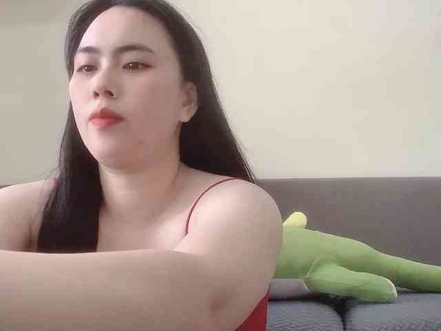 Vysa webcam