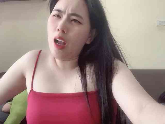 Vysa webcam