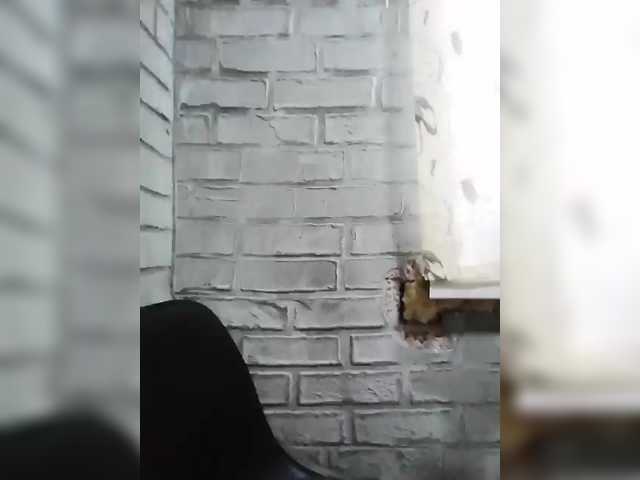 Polyk93's BongaCams show and profile