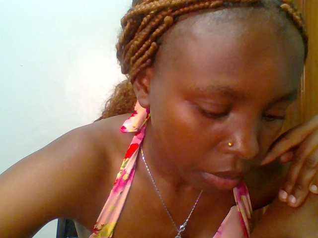 chocolate-brownie webcam