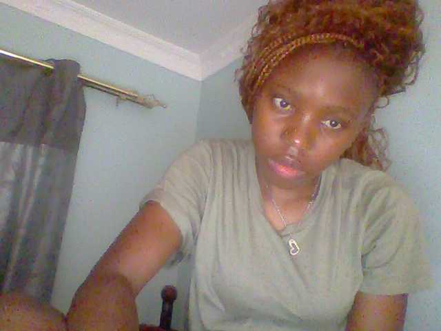 chocolate-brownie webcam