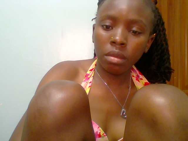 chocolate-brownie webcam