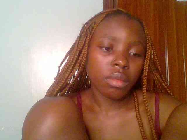 chocolate-brownie webcam