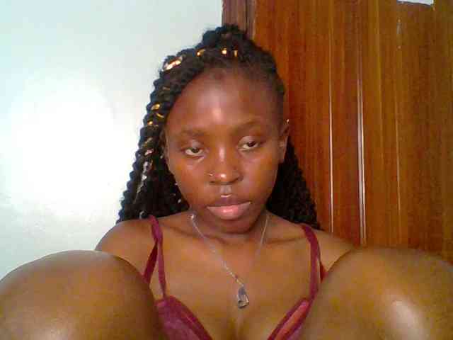 chocolate-brownie webcam