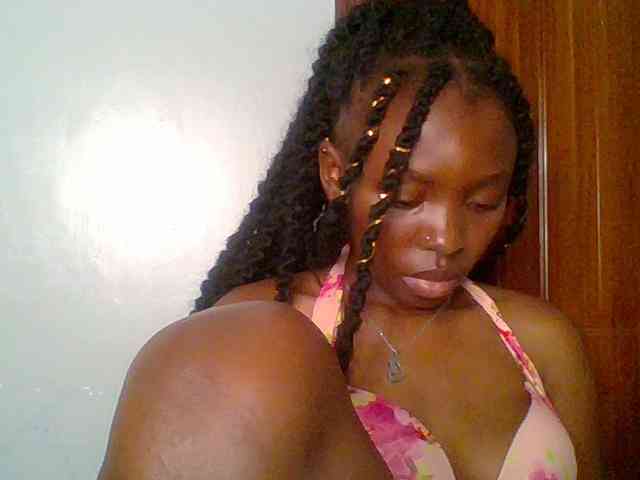 chocolate-brownie webcam