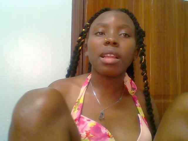 chocolate-brownie webcam