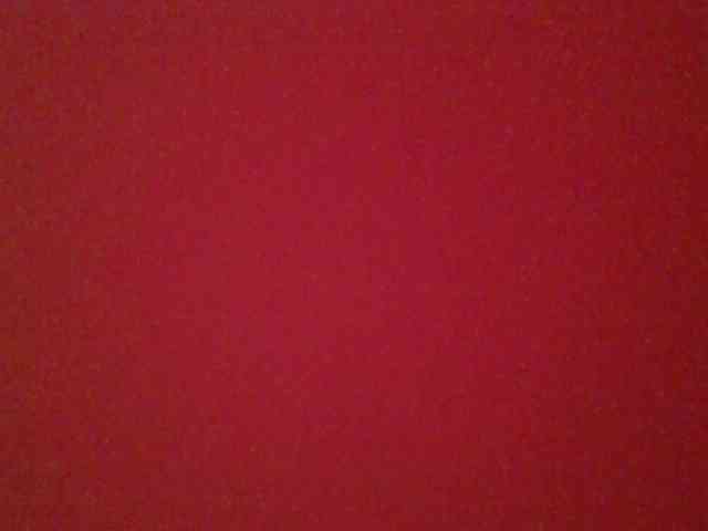 chocolate-brownie webcam