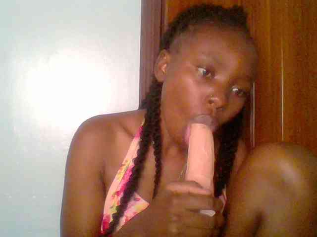 chocolate-brownie webcam