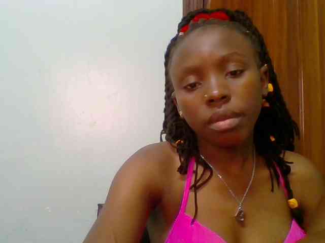 chocolate-brownie webcam