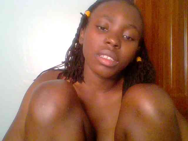 chocolate-brownie webcam