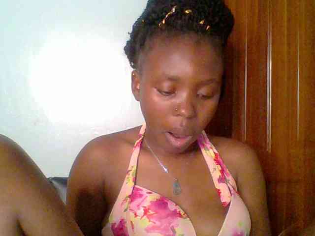 chocolate-brownie webcam