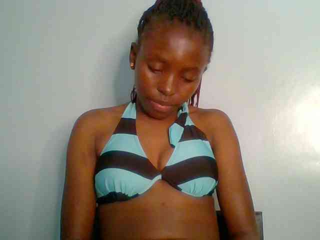 chocolate-brownie webcam