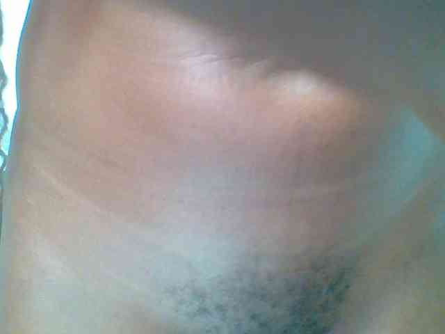 chocolate-brownie webcam